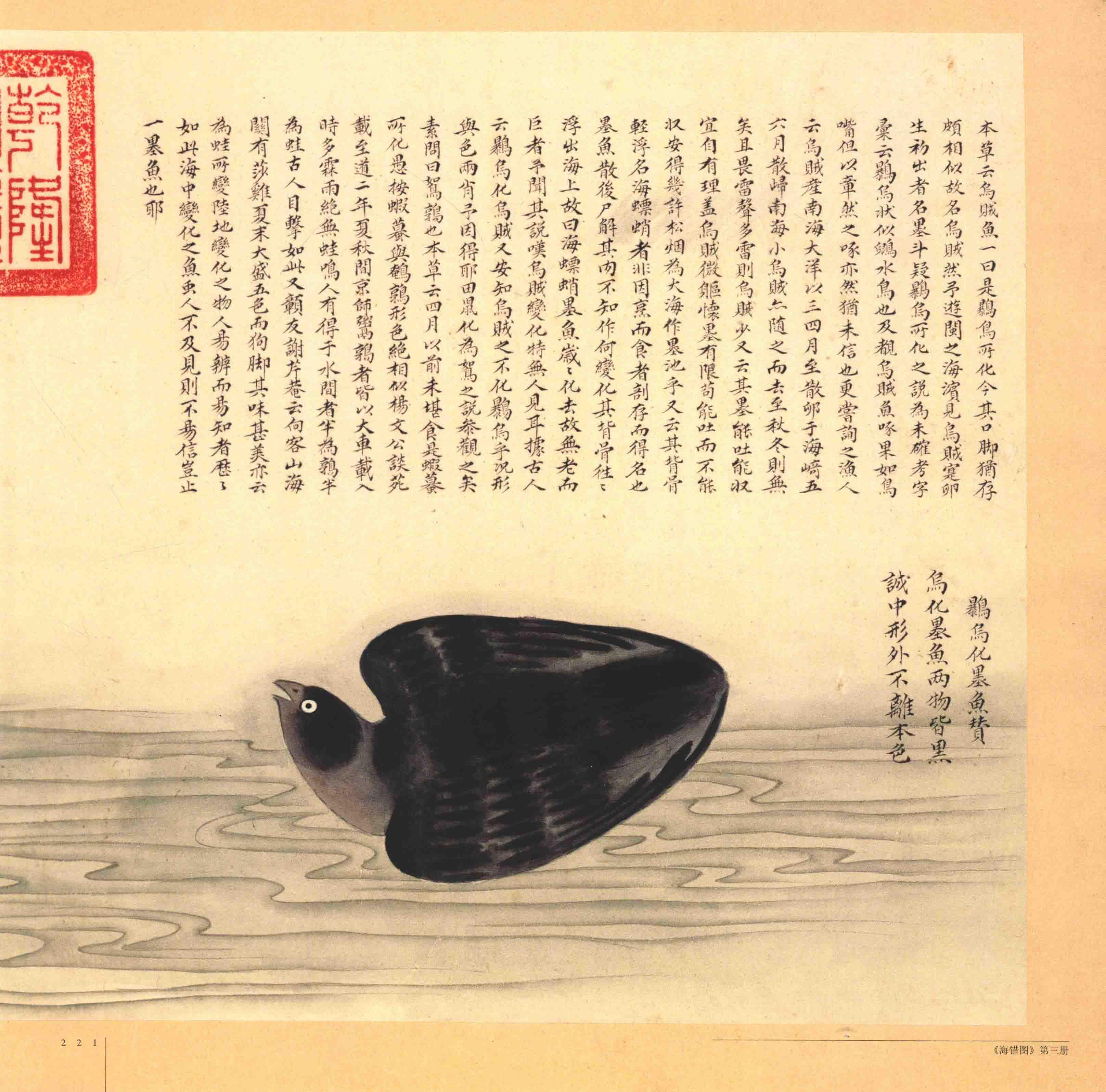 故宫博物院藏《清宫海错图·册三·羽类和介类》:古画与实物对照图 - 知乎