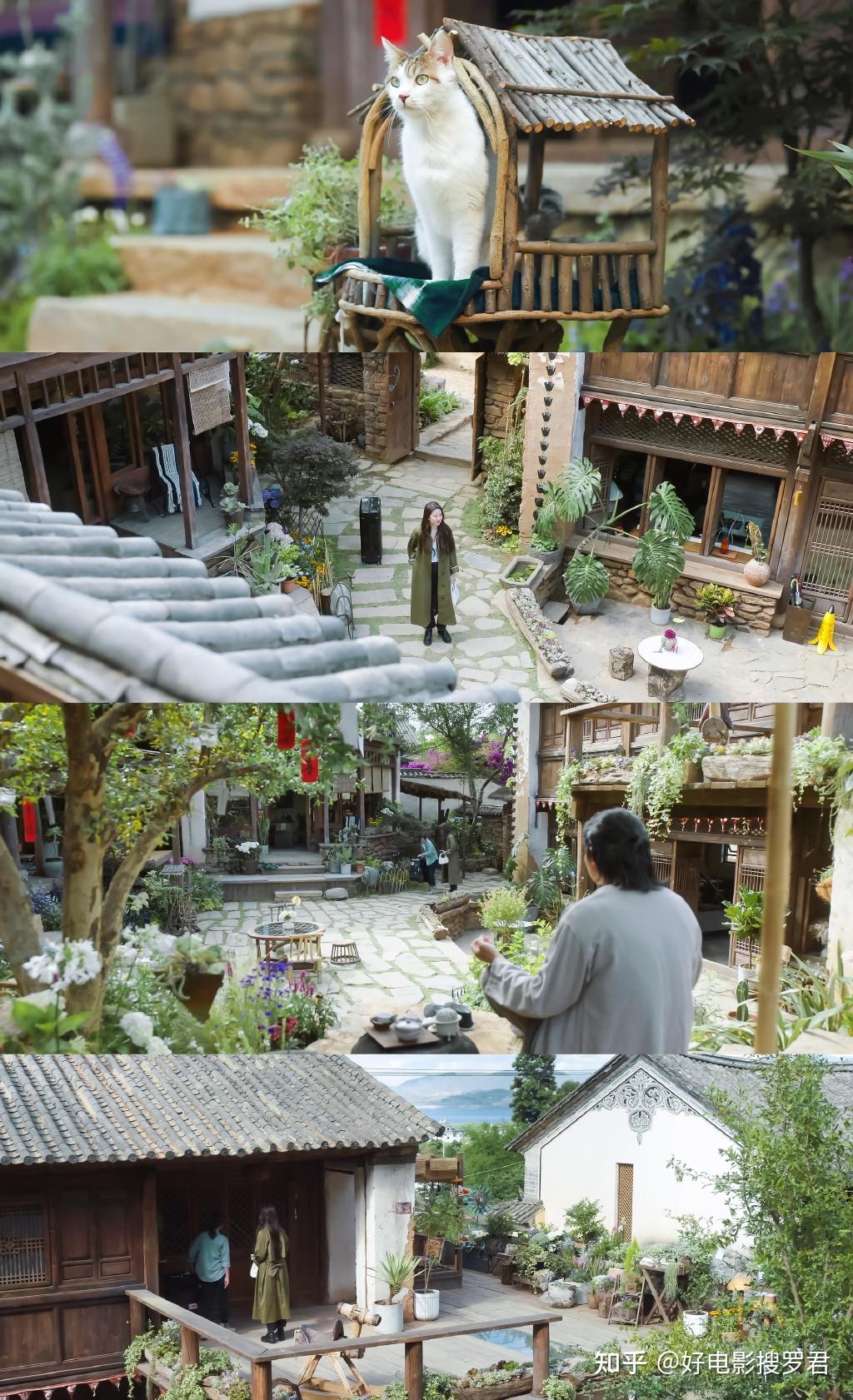 《去有风的地方》像许红豆这样在云南玩,大概得多少钱? - 知乎