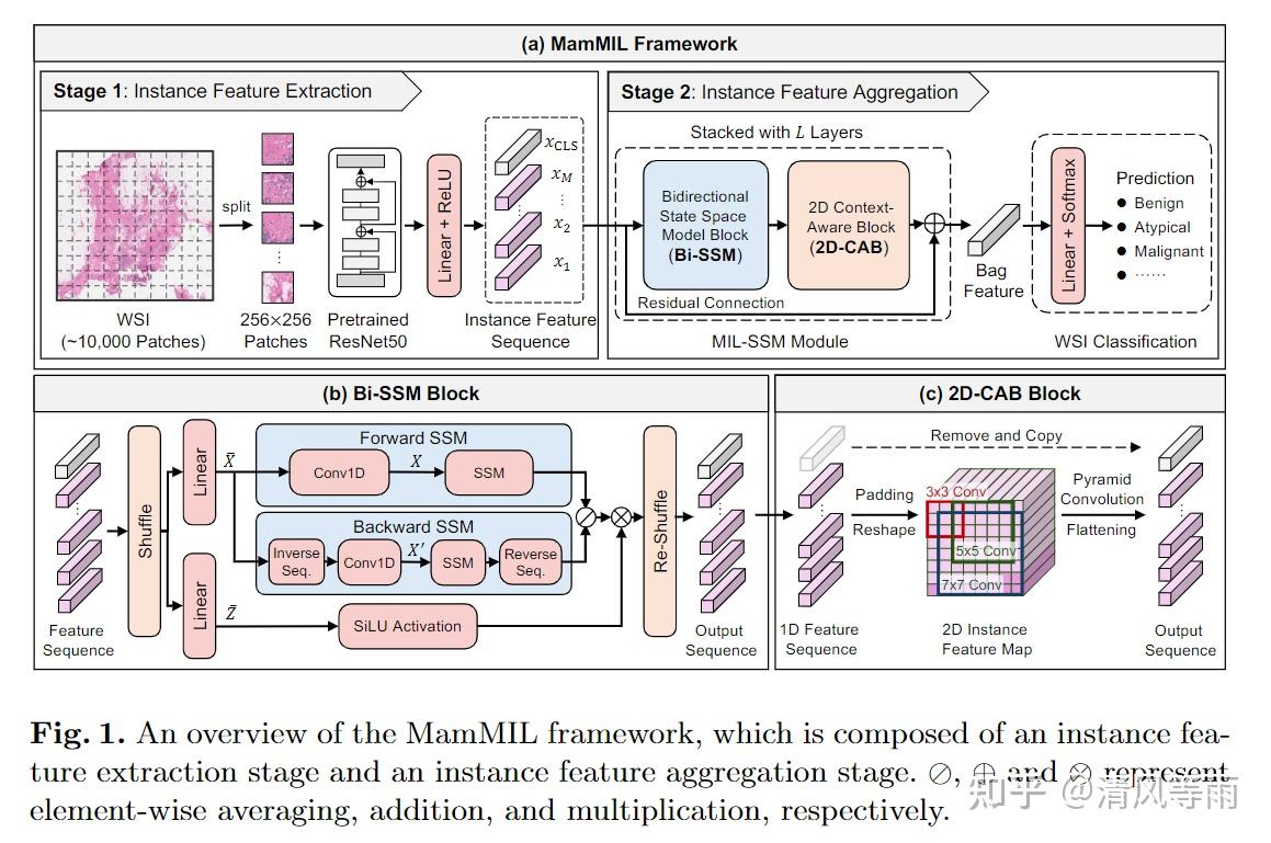 论文阅读 MamMIL: Multiple Instance Learning for Whole Slide Images with ...
