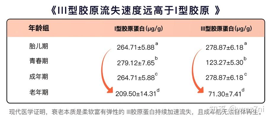 为什么iii型胶原蛋白留不住? - 知乎