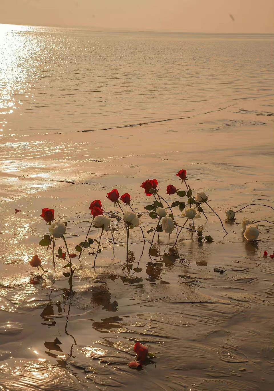 有哪些干净简洁的的微信背景图