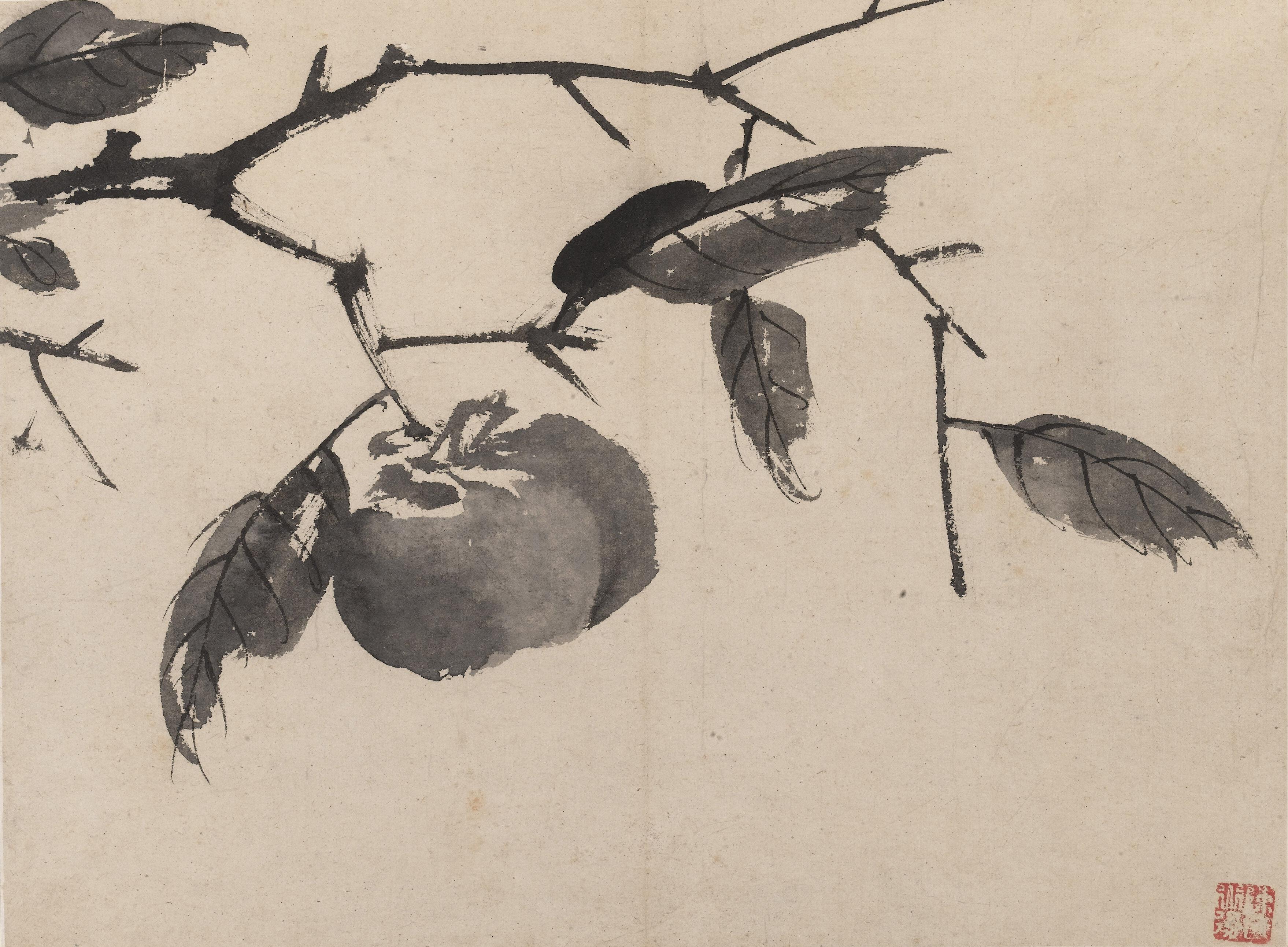 写意花鸟画入门(初学防踩雷)