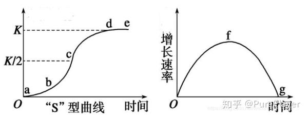 logistic模型拟合covid-19疫情以及python实现 - 知乎