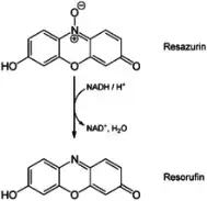 细胞活性检测-比色法(colorimetric assay) - 知乎