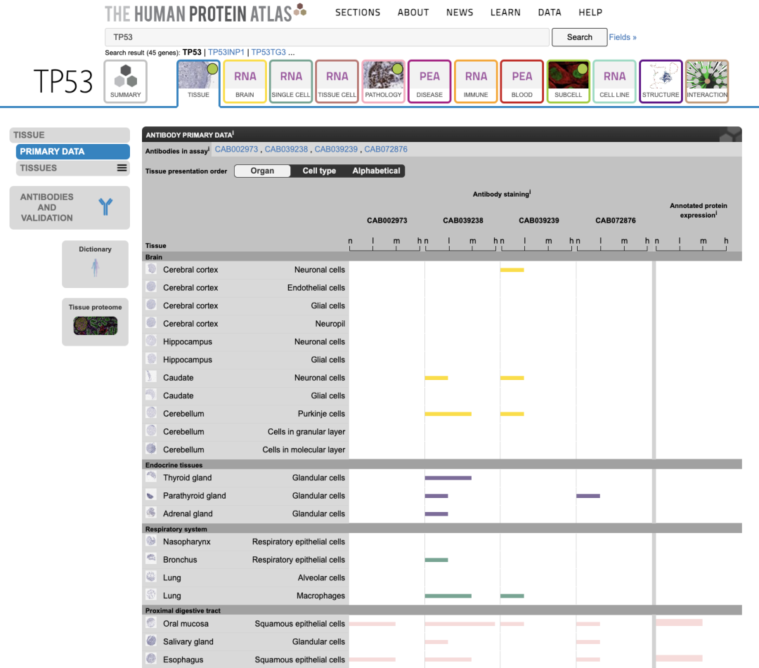 解忧小工具| 人类蛋白质图谱（HPA）数据库，给你的SCI文章加点料！ - 知乎