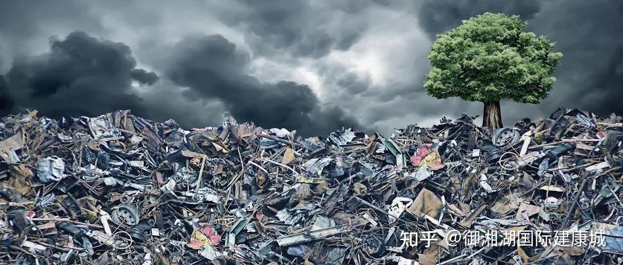 健康人生从清除血液毒素开始