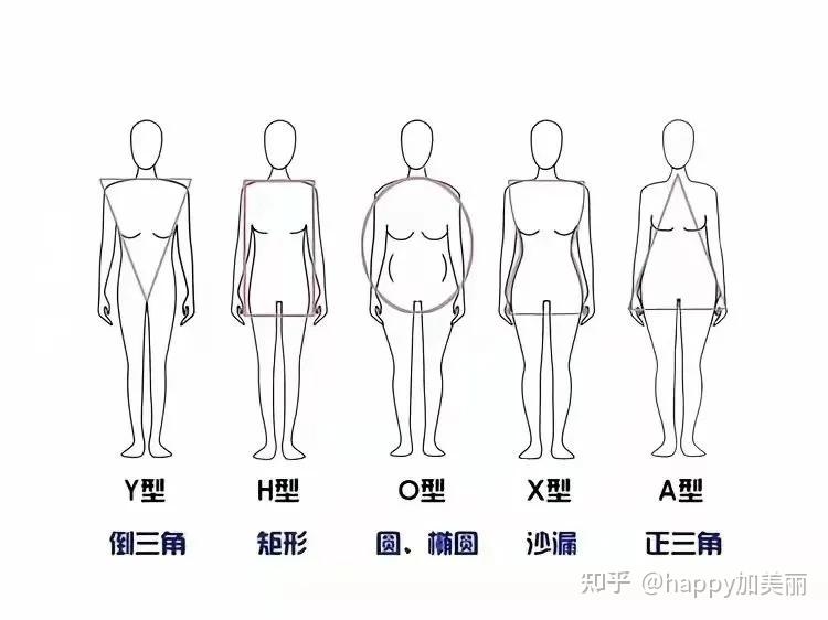 女人一生身材变化图图片