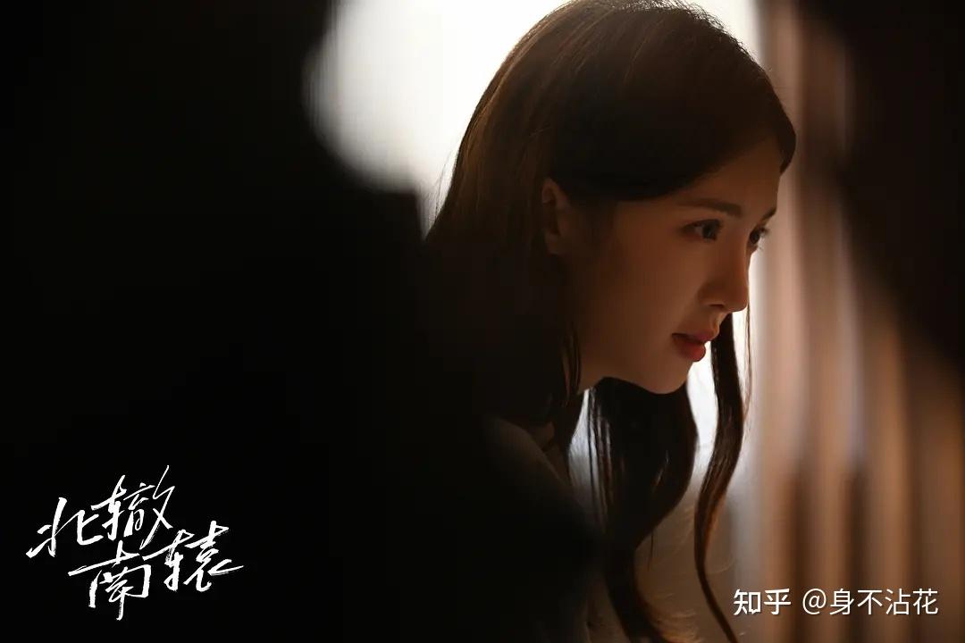 如何评价冯小刚导演蓝盈莹金晨啜妮隋源主演的电视剧北辙南辕