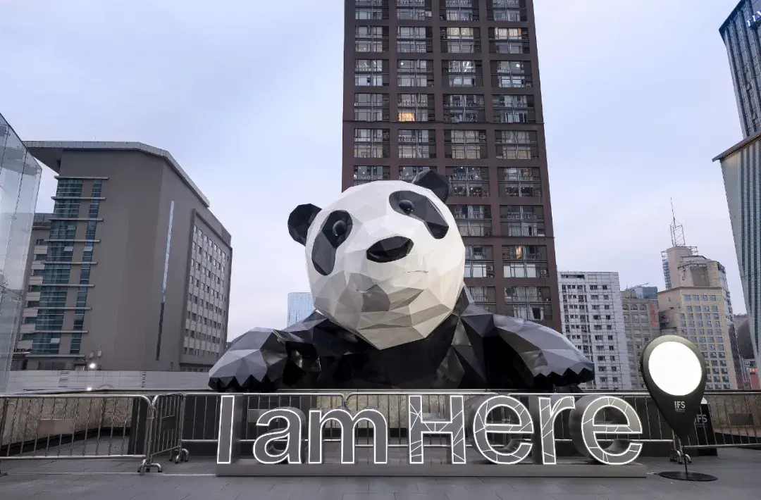 xxxxl号大熊猫——"无情"的眼球收割机