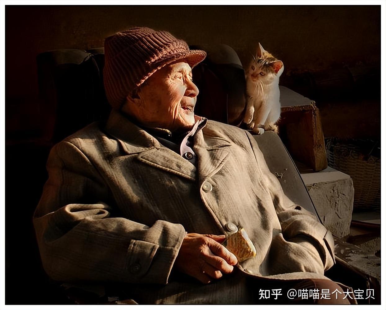 研究证明,长期养猫的人,会更健康 - 知乎
