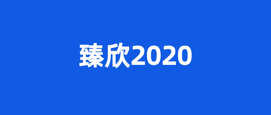 臻欣2020大坑6个小坑4个