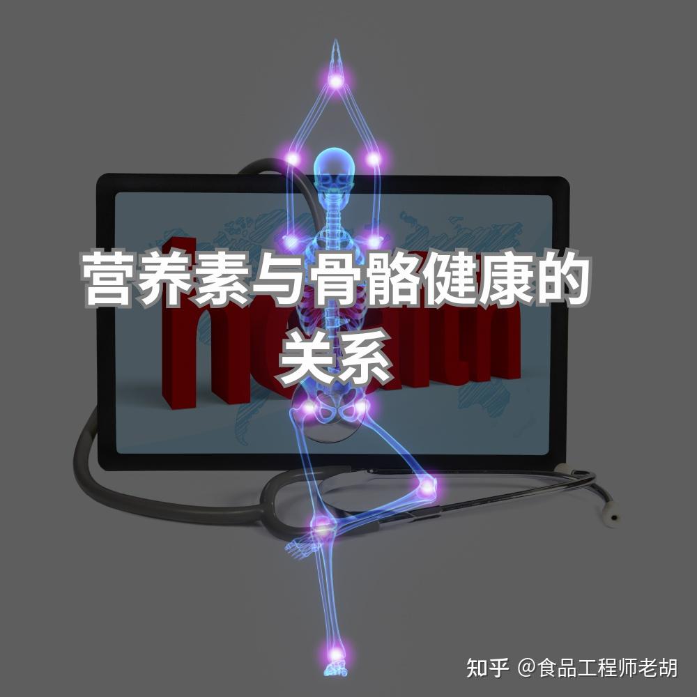 营养素与骨骼健康的关系 知乎 