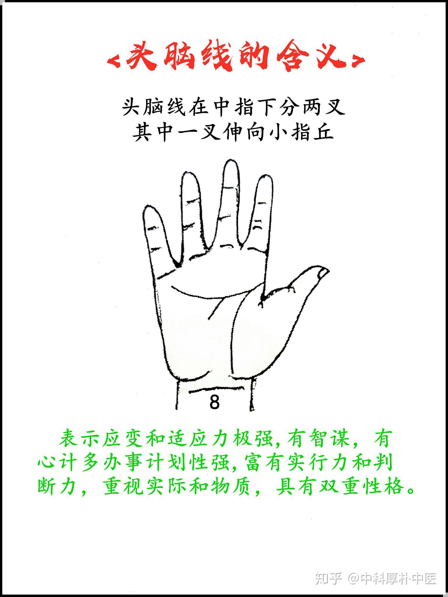 手诊图头脑线连载十二