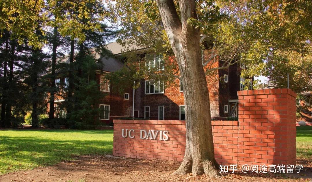 24fall|加州大学戴维斯分校本科录取