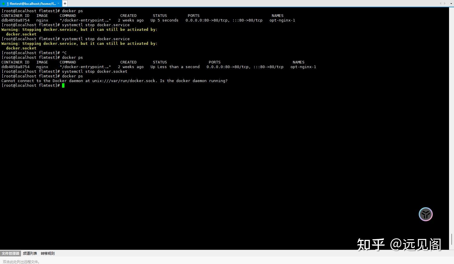  docker 