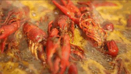 墙裂推荐(小龙虾价格大跌)小龙虾价格暴跌,(图9) 墙裂推荐(小龙虾价格大跌)小龙虾价格暴跌,(图9)
