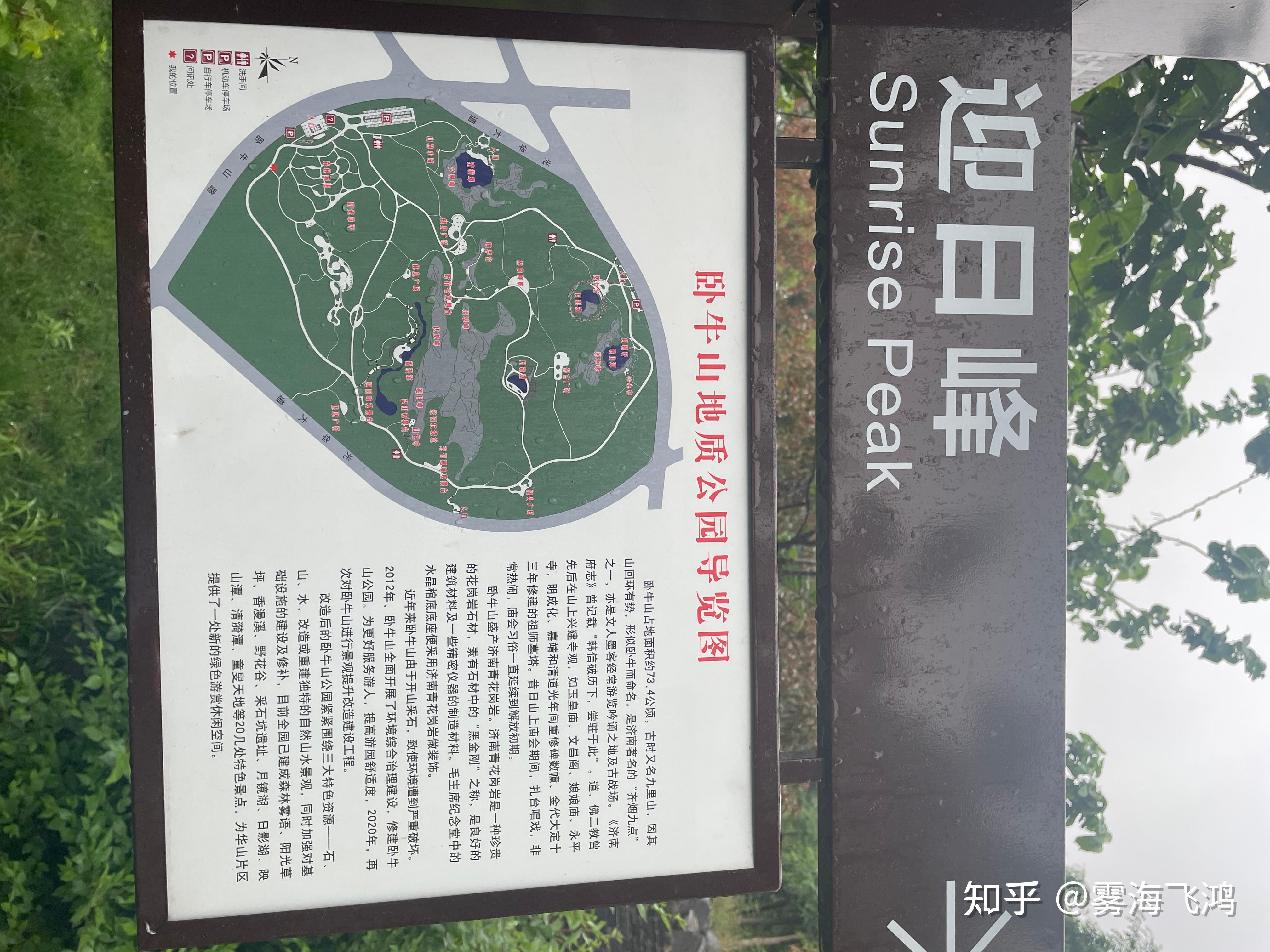 济南最美的花海,最美的大草坪之一