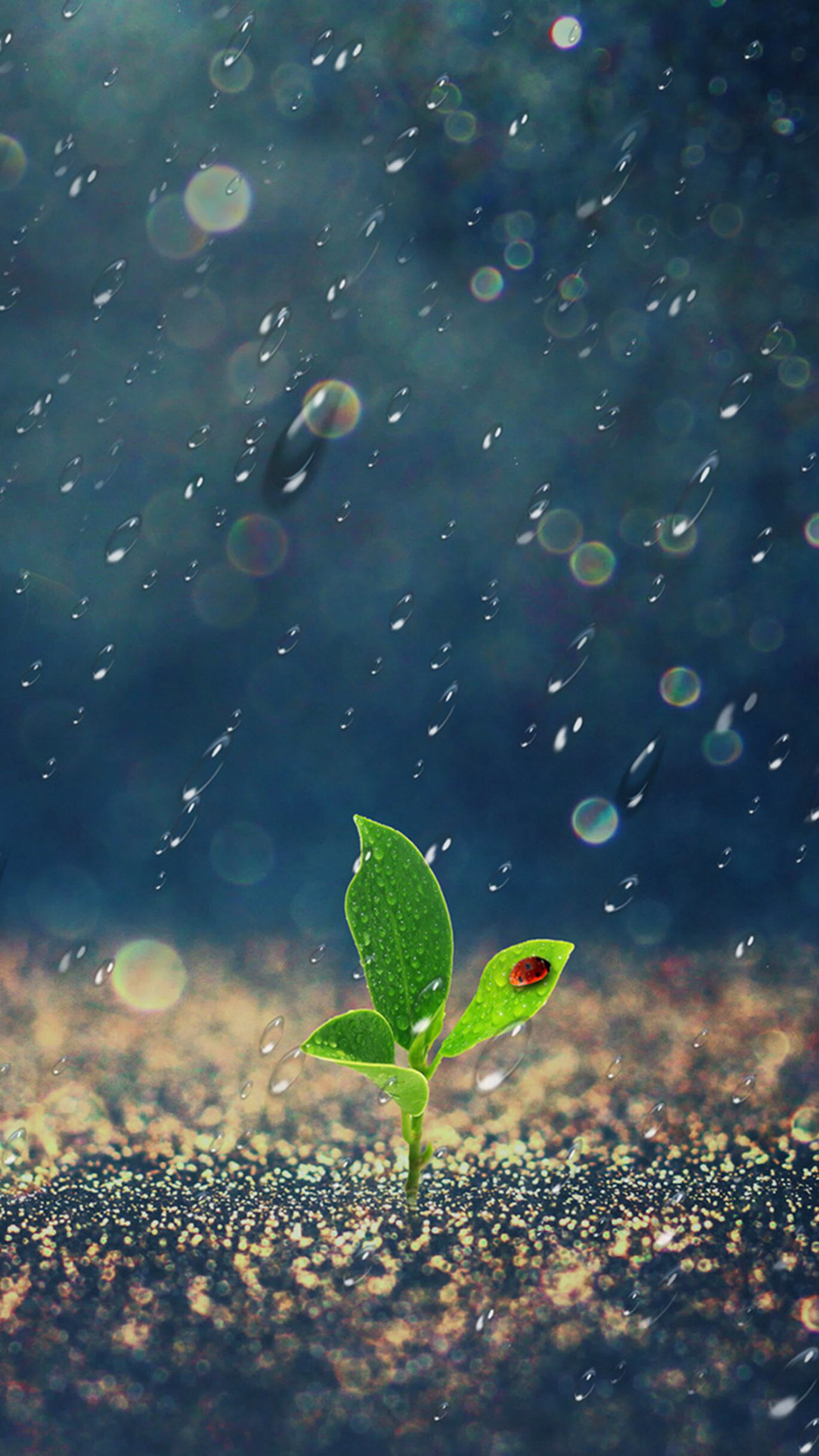 有没有什么下雨的手机壁纸