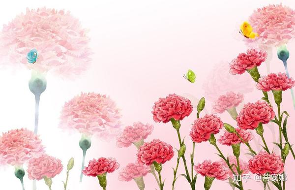 母亲节的来历与风俗 - 知乎 