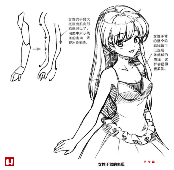 大概画出来就可以了,如下图左示,用线条的走向来表达女性手臂的柔美
