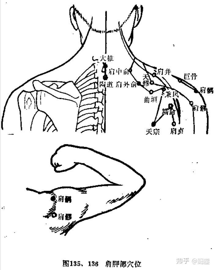 吴谦十四经要穴主治歌