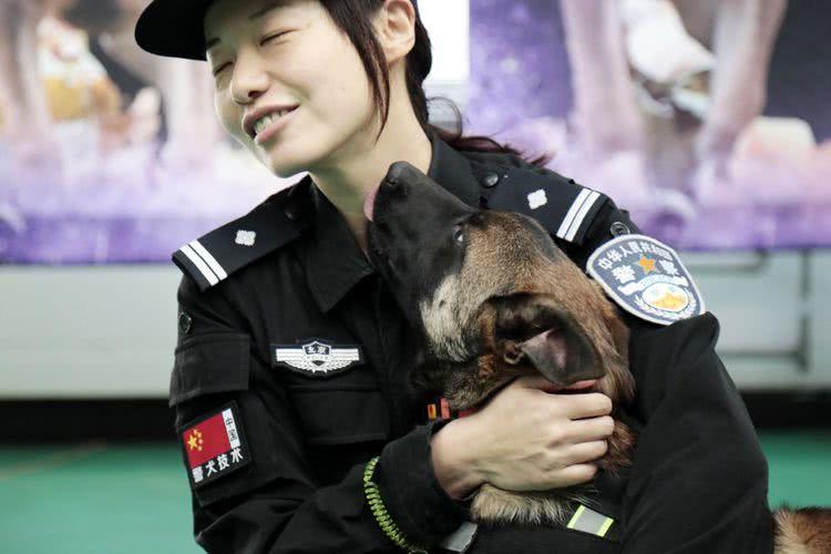 北京克隆警犬接受基础训练各项指标均优于普通警犬