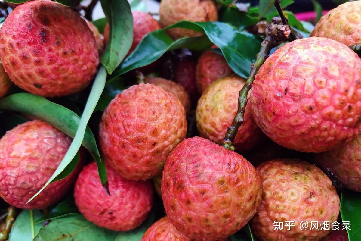 中国的荔枝到底有多少种?哪的荔枝最好吃?该怎么选?一文全读懂 - 知乎
