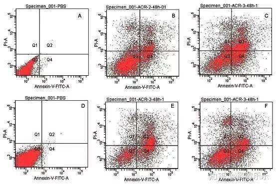 如何区分细胞凋亡与坏死 - 知乎
