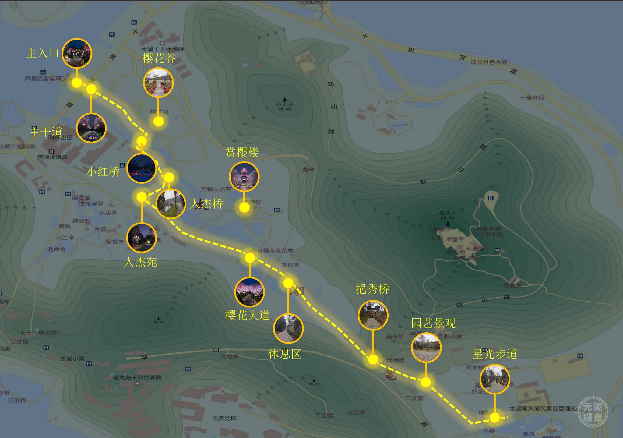 这个春天,一起去鼋头渚赏夜樱吧!