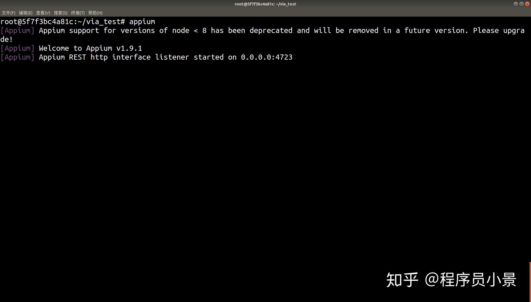 Docker Appium docker appium