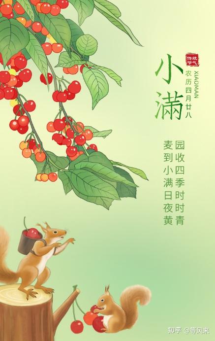 小得盈满小满节气免费海报插画模板