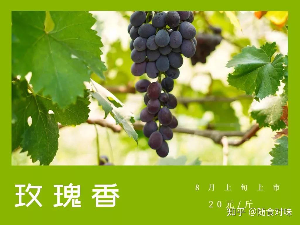 梦境探秘，解析梦中葡萄的象征意义与潜在信息