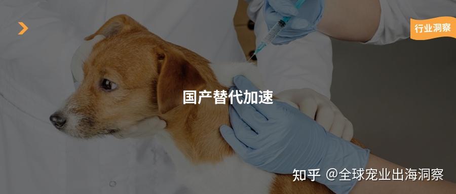 中国再迎二类新兽药，国产宠物药越来越牛了 - 知乎