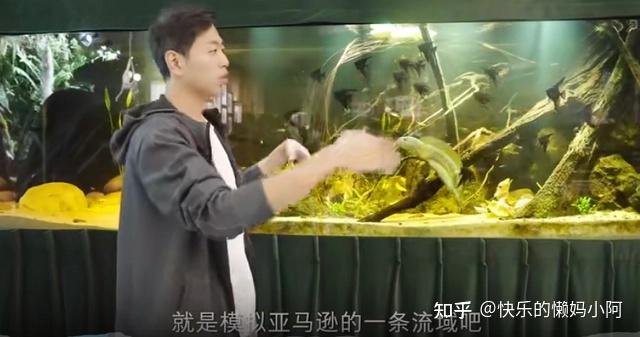 水哥王昱珩最强大脑是怎么练成的？ - 知乎