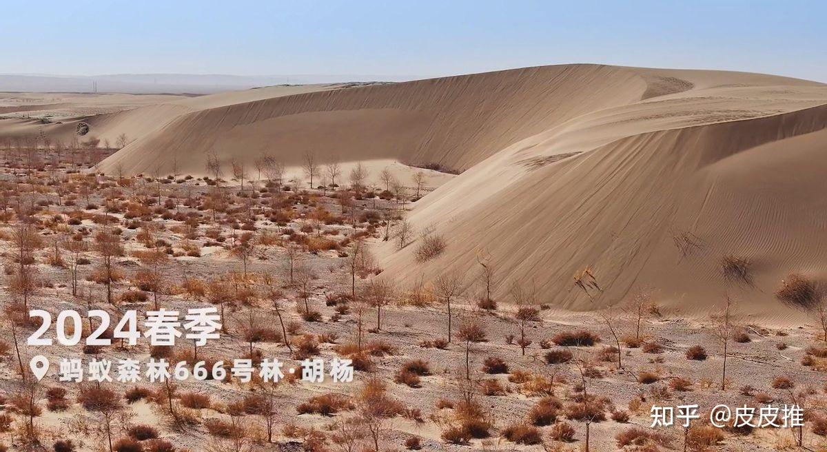 种树治沙在行动 蚂蚁森林宣布再捐1亿元支持甘肃助力人进沙退