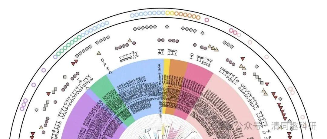 R绘图|环形树状图又不会画了?手把手复现中国农业科学院艾超老师Nature子刊高颜值环形树状图(有视频) - 知乎
