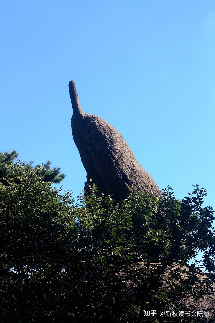 为什么山上的石头都像小动物跟着景区学写故事