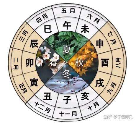 第五节十二地支- 知乎
