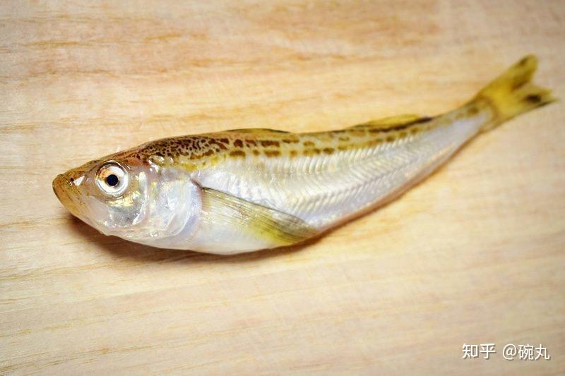 日文也写作鰰,鱩等,假名为ハタハタ(hatahata),中文称日本叉牙鱼