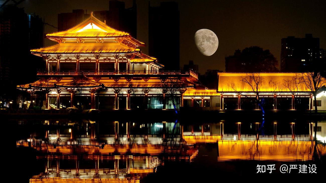 拍摄妙曼兴庆宫之夜【严建设】 - 知乎