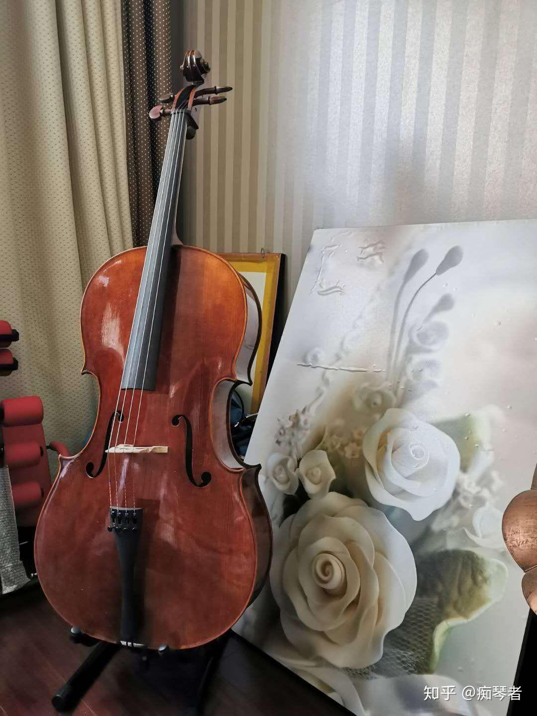 Two Violins, Viola and Cello | LienViolins