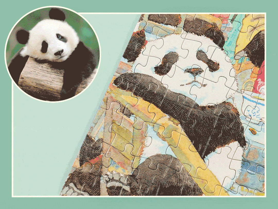 熊猫还有旅行日记？TOI图益x 大V插画师罗德西的拼图联名新品- 知乎