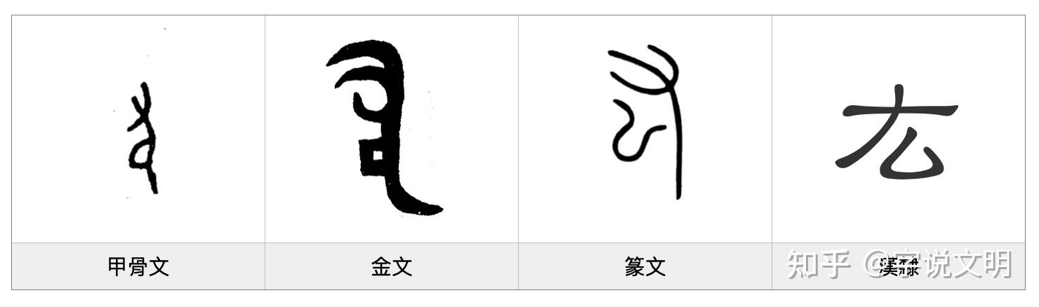 厷——每日一字·手部字 - 知乎