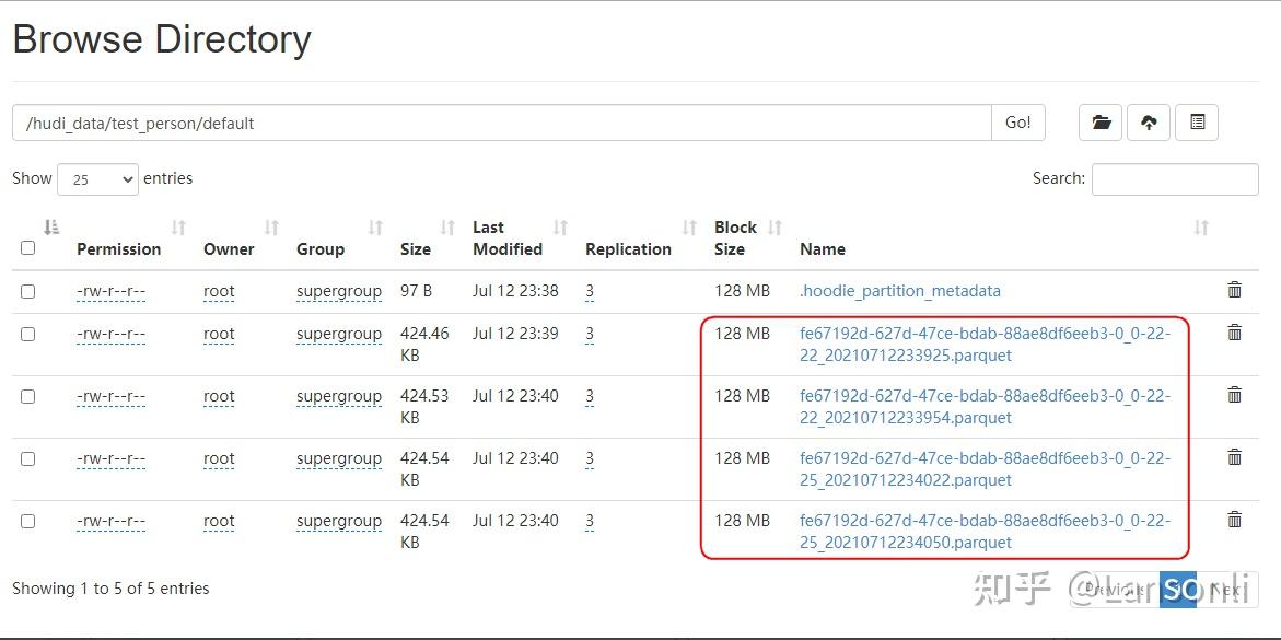 数据湖（四）：Hudi与Spark整合 知乎