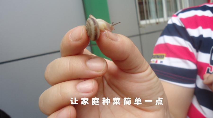 v2-f7030d61505f6d4ec1ef90e81dd4378f_1440w.jpg?source=172ae18b