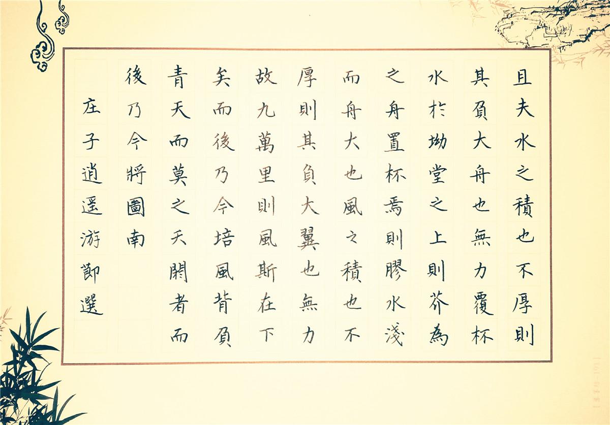庄子《逍遥游》手写钢笔字笔友钢笔书法习作欣赏