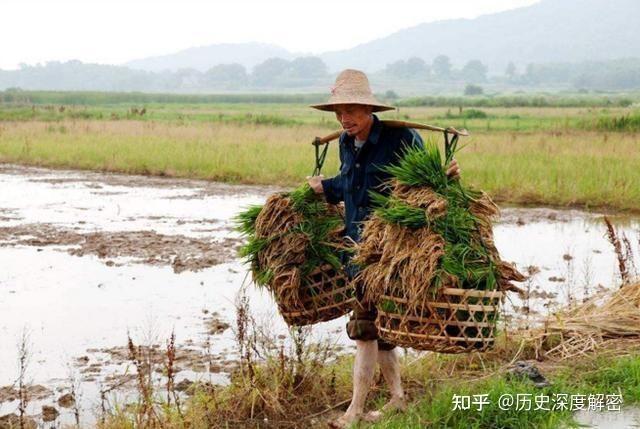 凡是50至60年代的农村人最清楚农民的事情.