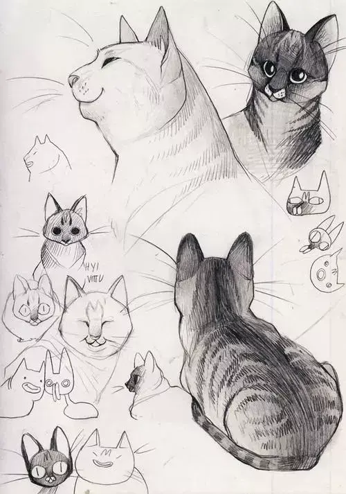 有什么很好的画猫的作品?
