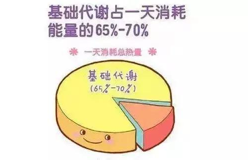 v2-f7127f4a8e0f2788e3ab16ab3b3f789b_1440w.jpg?source=172ae18b