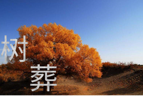 v2-f7220eef52eb626ff69a24c1fd46ce1d_1440w.jpg?source=172ae18b